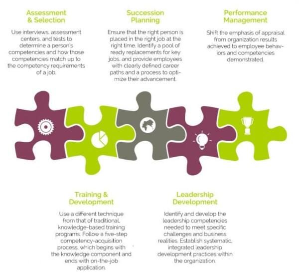 Puzzle talent management