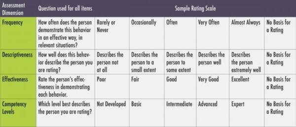 Assessing Competencies